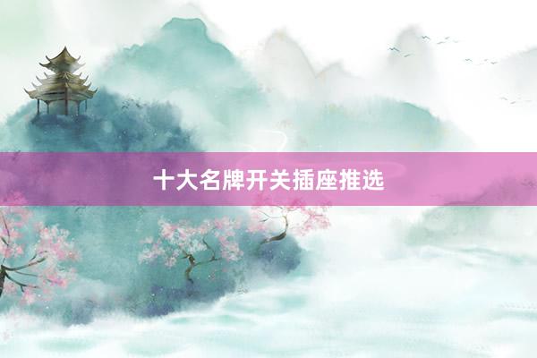 十大名牌开关插座推选