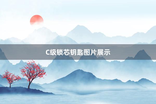 C级锁芯钥匙图片展示