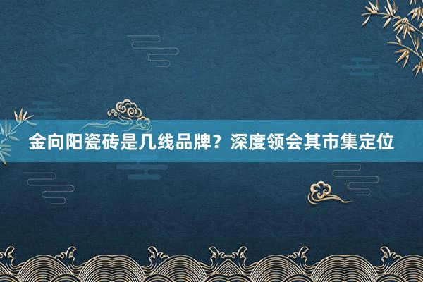 金向阳瓷砖是几线品牌？深度领会其市集定位
