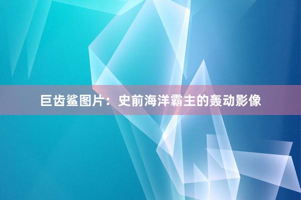 巨齿鲨图片：史前海洋霸主的轰动影像