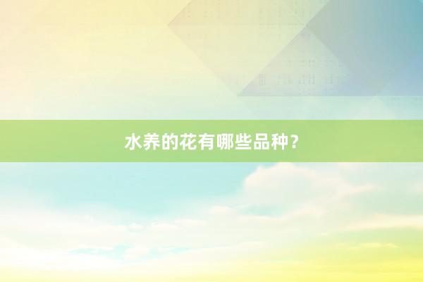 水养的花有哪些品种？